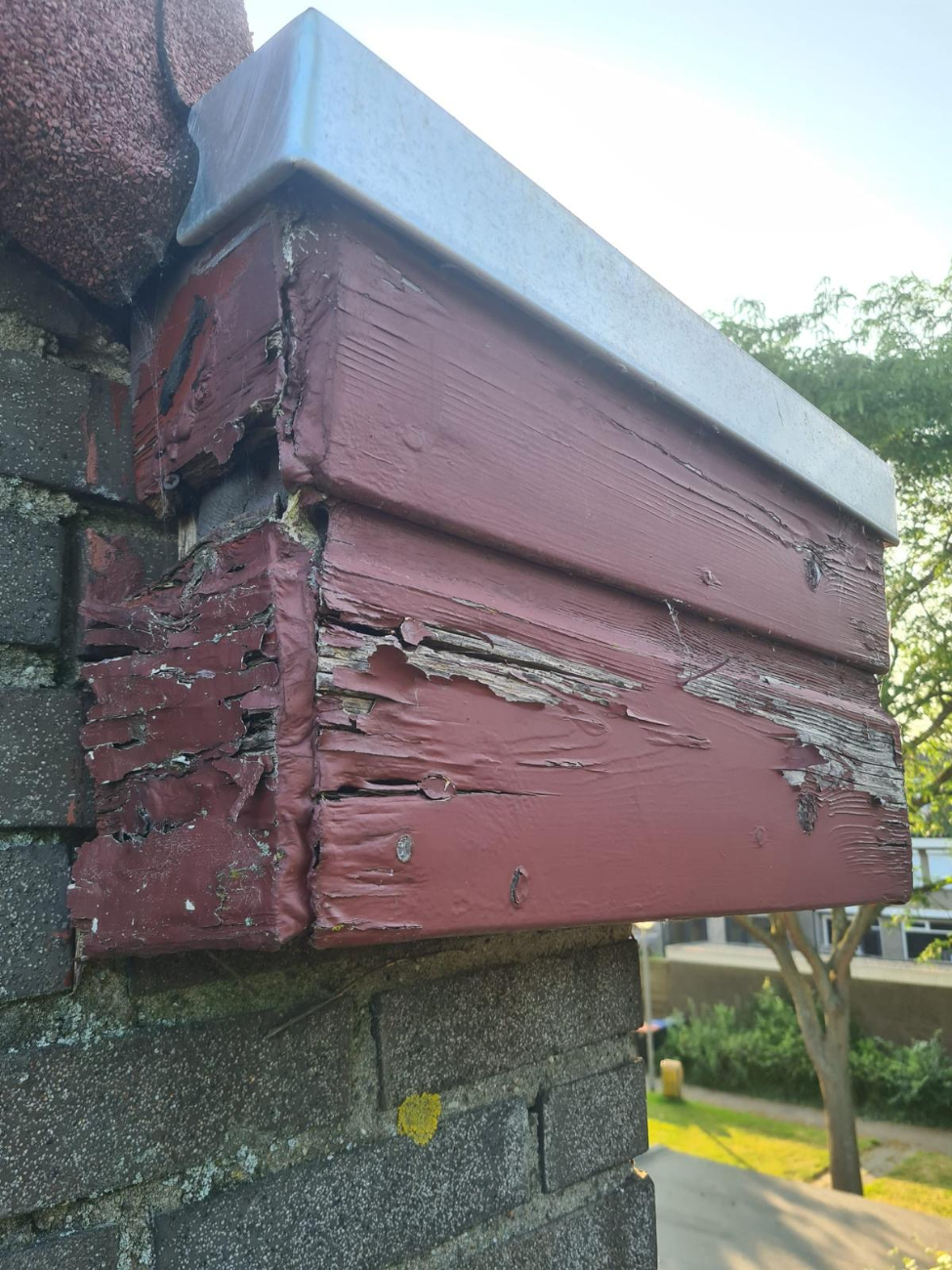 Occasion afbeelding: houtrot_voorbeeld_1-1.jpeg