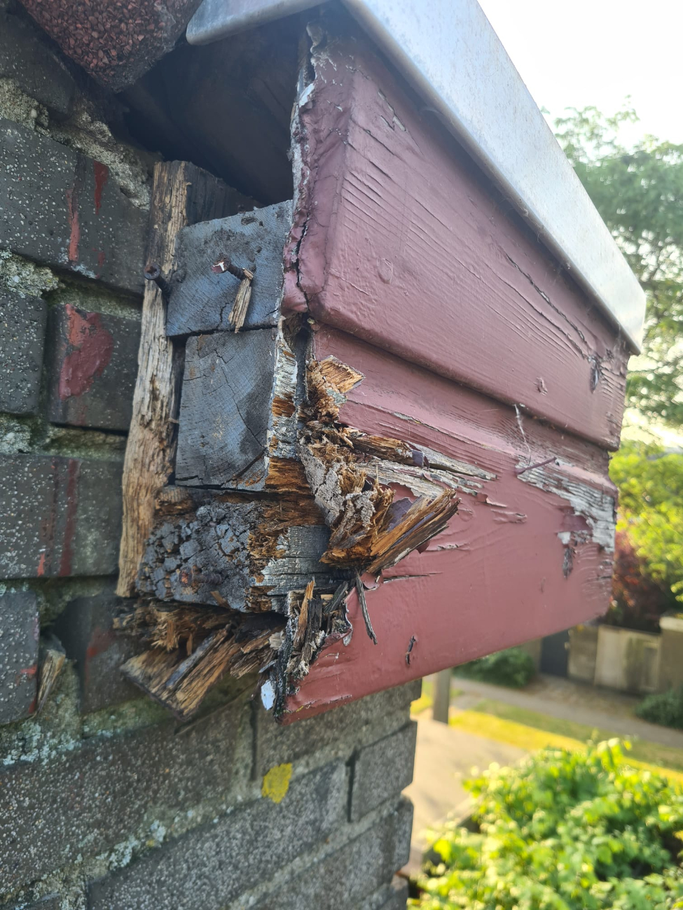 Occasion afbeelding: houtrot_voorbeeld_2-1.jpg