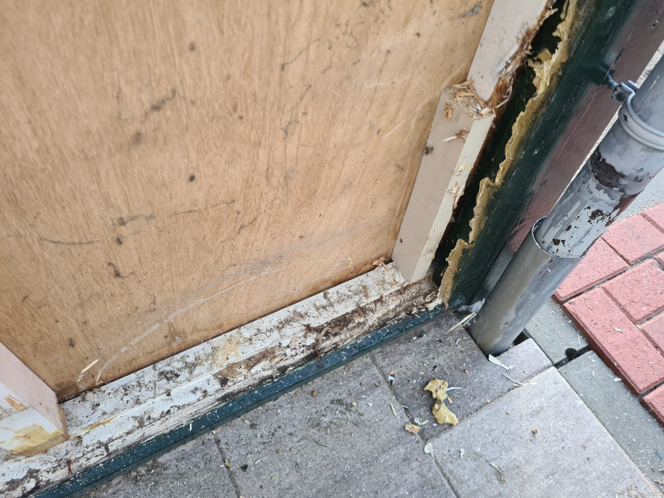 Occasion afbeelding: houtrot_1.jpeg