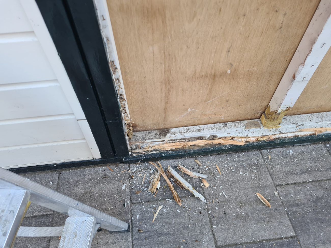 Occasion afbeelding: houtrot_3.jpeg