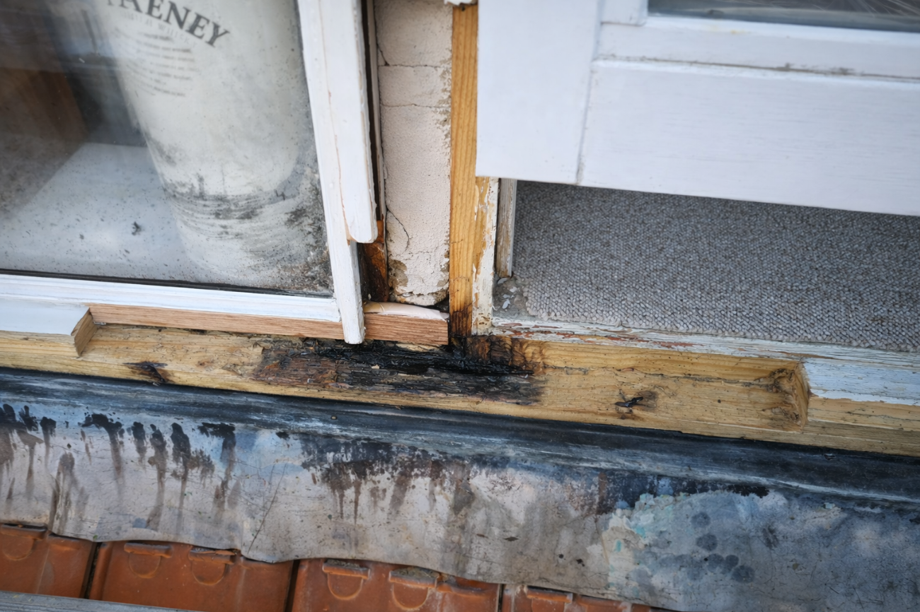 Occasion afbeelding: houtrot_hetstel_3.png